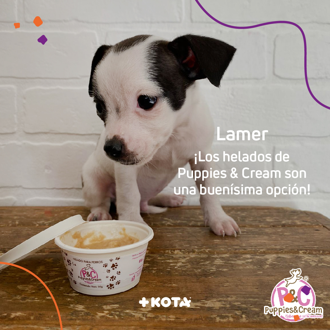 Así como los humanos, estos amiguitos también necesitan desestresarse 
¡Cuida de ellos y conoce las actividades que pueden ayudarlo! 🐶 
En  nuestra página web encuentra todo para animar a tu peludito 👉 maskota.com.mx
