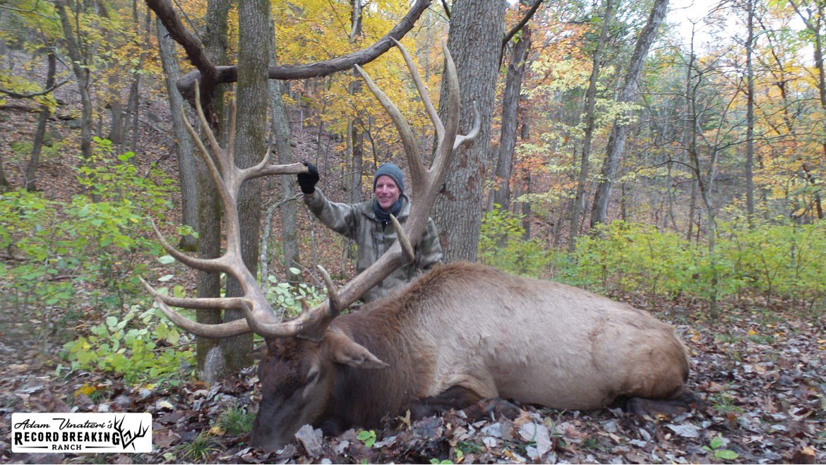 Record_Ranch's tweet photo. Looking for more than a whitetail deer hunt?!

Go to https://t.co/792RftUXVU for more info!

#RBRHunting #hunting #whitetail #elk #fallow #redstag #aoudad #ibex #redsheep #rams https://t.co/h5M9DwY6Ne