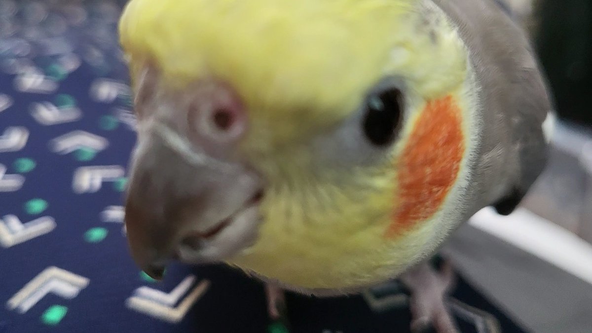 임머 일어나보세요