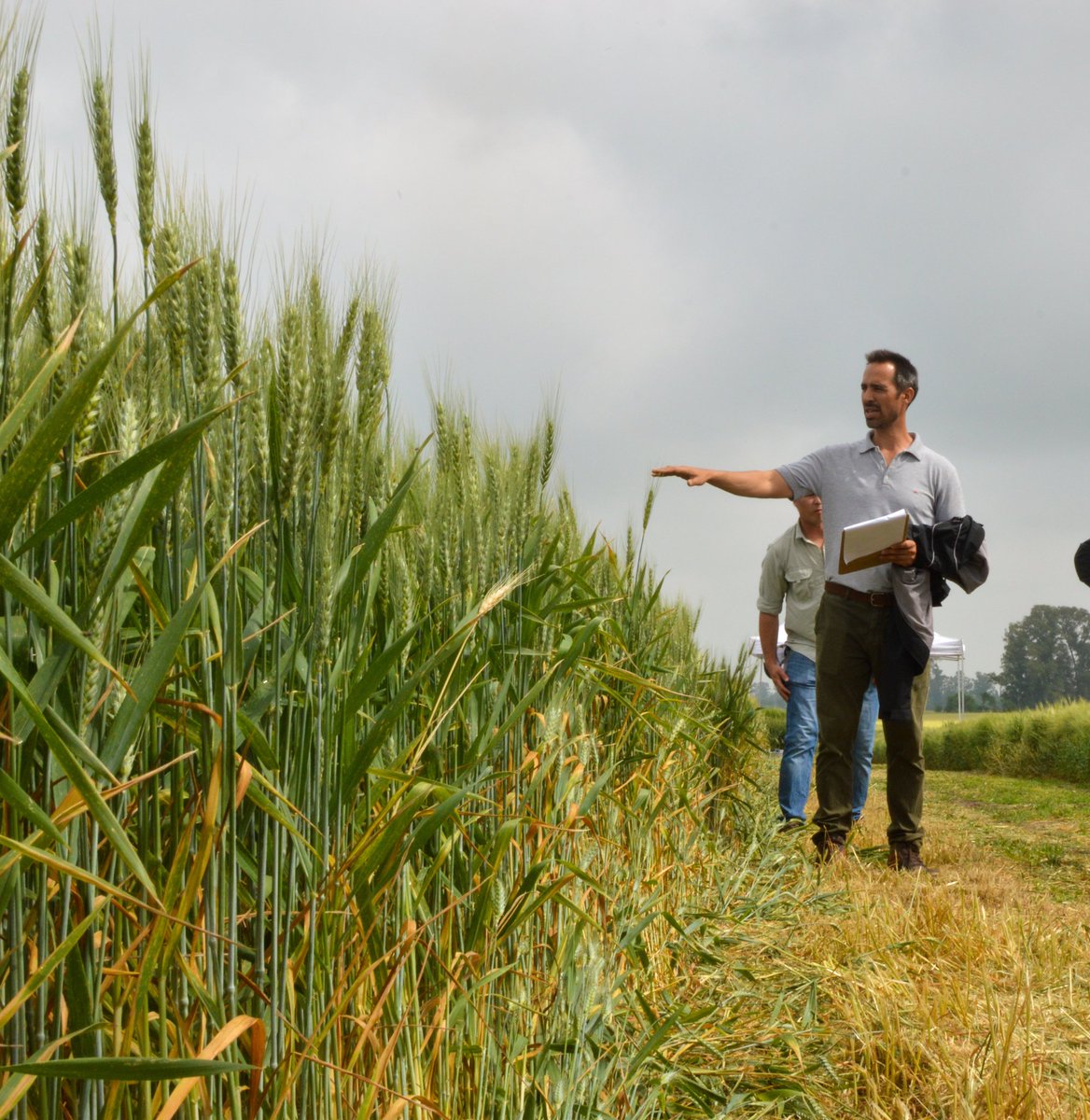 trybusagro's tweet photo. 🌾 Investigación, testing y difusiøn de tecnologías del agro.
Somos #Trybus
✅Ayudamos a tomar mejores decisiones https://t.co/MDSPXvFdNL