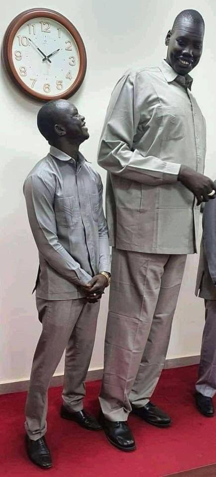 SmoothKurdit's tweet photo. Every race see us above.
We have the gene of the ancient Kush people( Nile Valley civilisations ) which were exceptionally tall with smooth skin.
Dinka and Nuer must assist the researchers on their growth and why they evolve so tall. We are proud of you #Baidit.
#SSOT https://t.co/J0juopaDPK