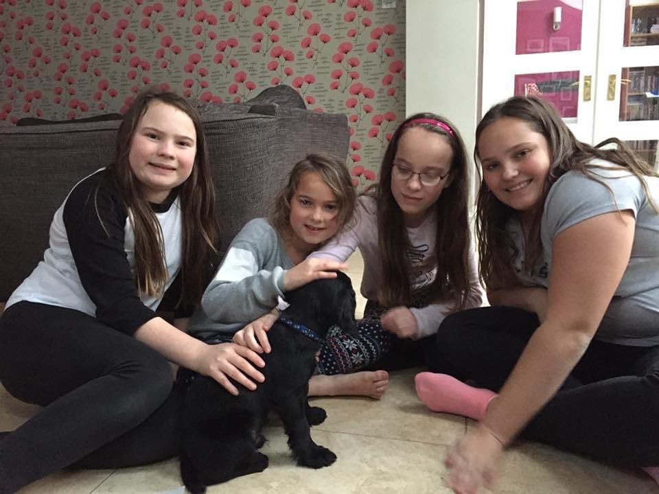 4 years ago we welcomed this bundle of energy and joy into our lives, and he’s definitely completed our family. Happy Gotcha day Mika……..