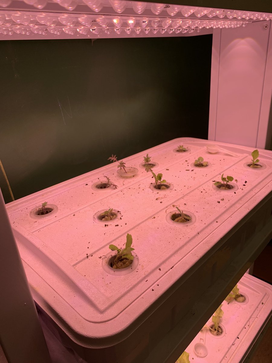 brunswickaged's tweet photo. Alright @Landscape_CTC we finally got the hydroponics tower going! Thanks for helping us add this to our horticulture program! @CTEKPearl #togetherfcps https://t.co/m7aXlAlsaG