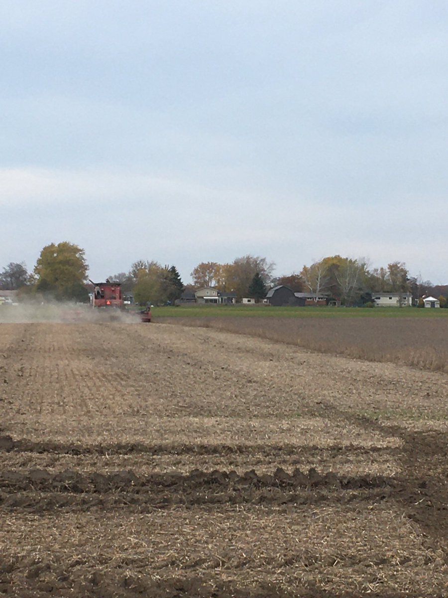 Great day for test results on the new bean varieties
