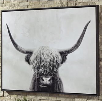 JBaercat's tweet photo. limited sample size but 100% of the homes on Redfin/Zillow have this exact picture displayed somewhere https://t.co/RuUiwy4vLC