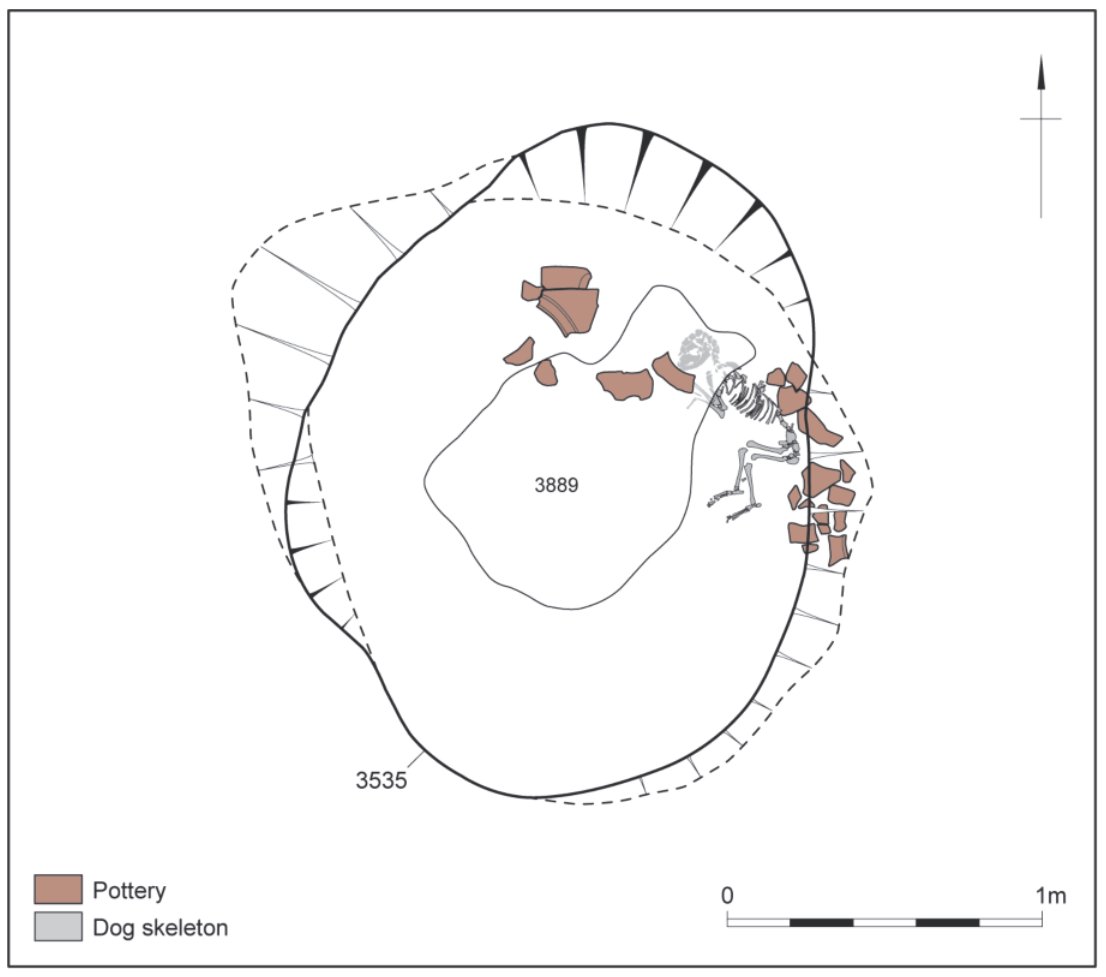 Robin Fleming tweet media