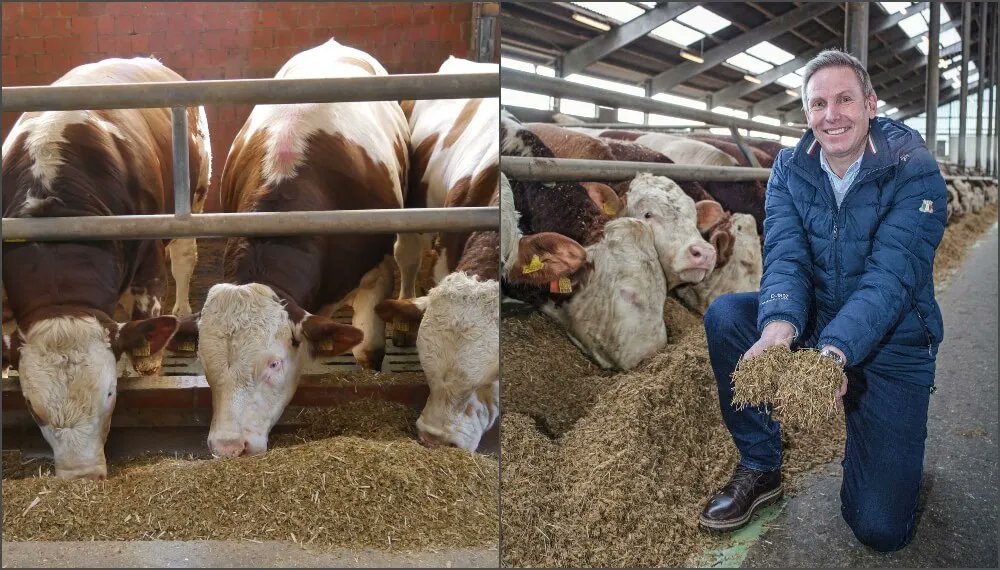 Un estudio alemán revela que el cracker intensivo del grano de maíz, con fibra larga, mejora la digestibilidad
agroalimentando.com/nota/13974