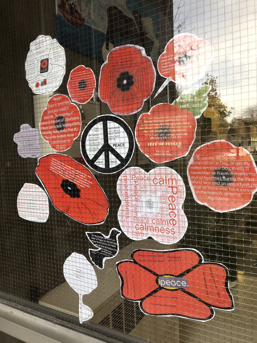 Jodi Barrett tweet media