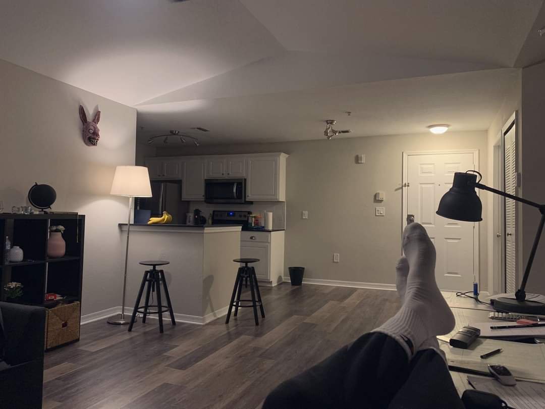 bir apartman dairesinde yalnız yaşamak ve ne istersen onu yapmak...