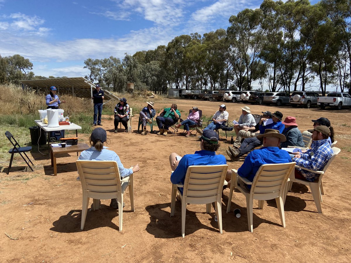 KokeeffeK's tweet photo. IREC cotton grower discussion group before the rain. Growers shared establishment progress and taken through CSD tools available to members.@CottonAustralia @csd_cotton @CottonResearch @CottonInfoAust https://t.co/6xdc6zLrwd