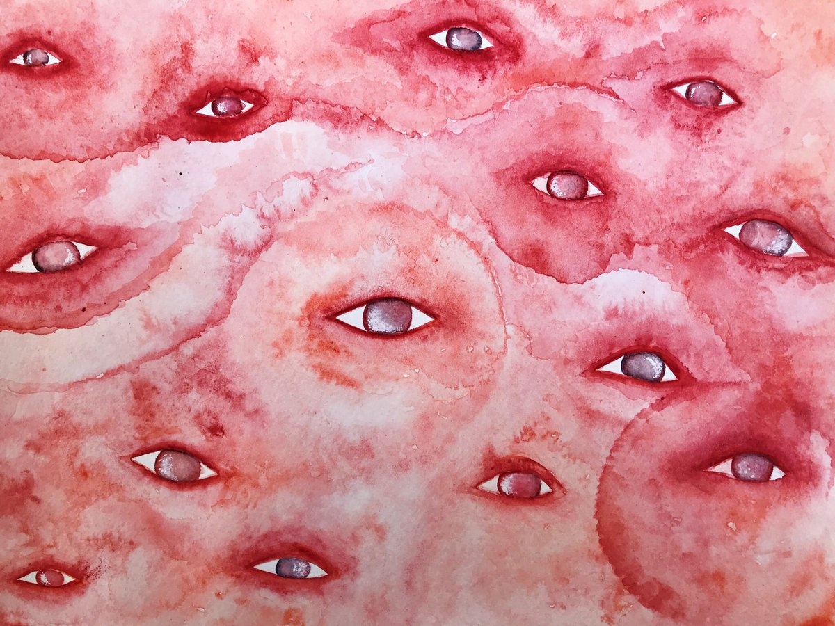 lenses of transparency