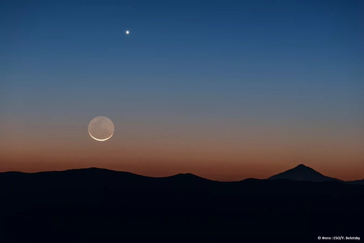 Максим Соловьев (@gq_corvet) | Twitter