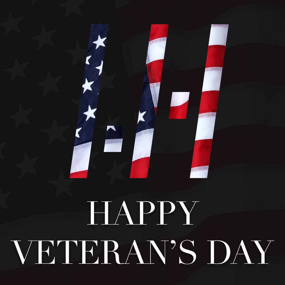 To all members of our military, in all branches, past and present, living and dead, Thank you for your service.

Happy Veterans Day 🇺🇸

#wellheartz #veteransday #happyveteransday