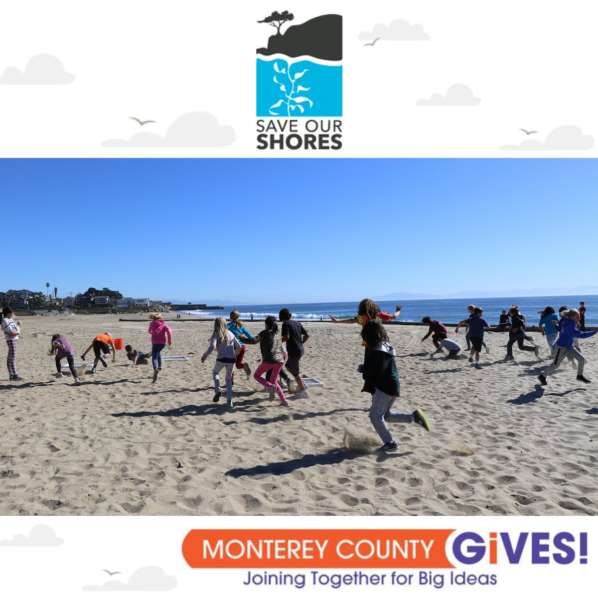 SaveOurShores's tweet photo. We are so grateful to once again be included in Monterey County Gives. When you "give" through MCGIVES, your gift will be matched! Together we can save our shores and protect our shared future. 
https://t.co/Zmak7Xw0An https://t.co/9KSm3HsDAt
