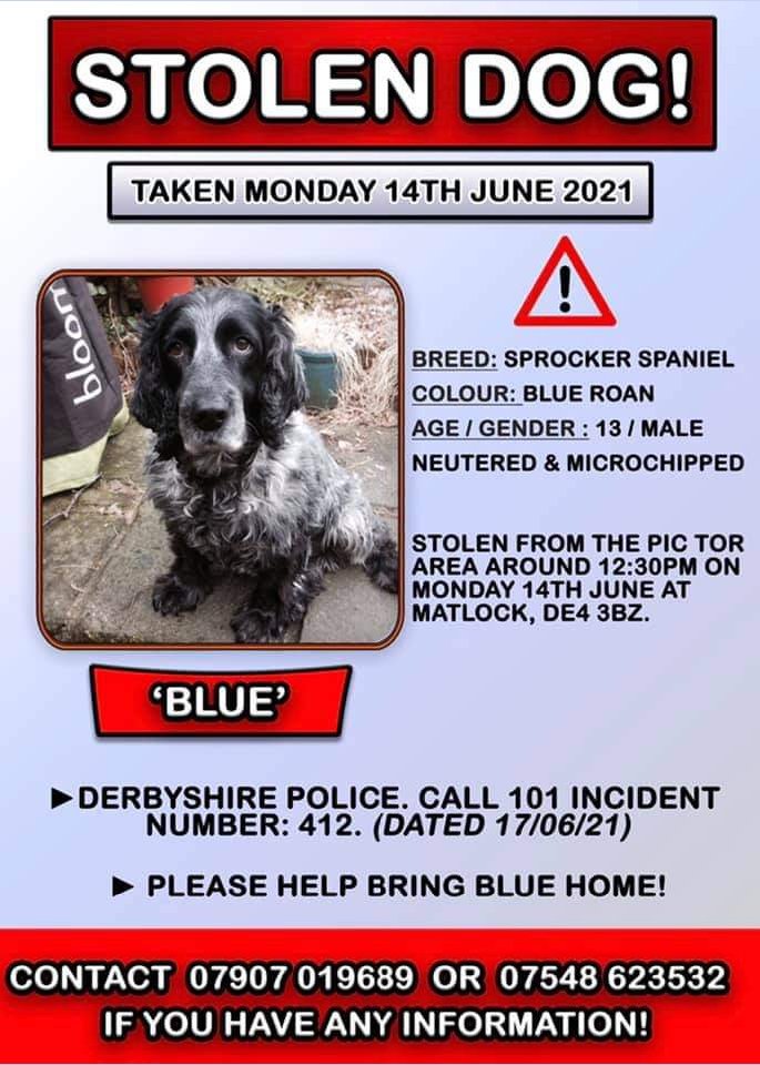 joannew0112's tweet photo. pls rt Blue needs our help, we need to find him 💔 #stolen from pic tor nr #Matlock #Derbyshire on 14th June. Blue is Elderly and needs to be home. 💔 ‼️Someone has that vital info needed‼️ #BringBlueHome #findblue 📞🙏 https://t.co/DhxZzgEsZE https://t.co/0We54HGvAn https://t.co/NXcwk1f2cN