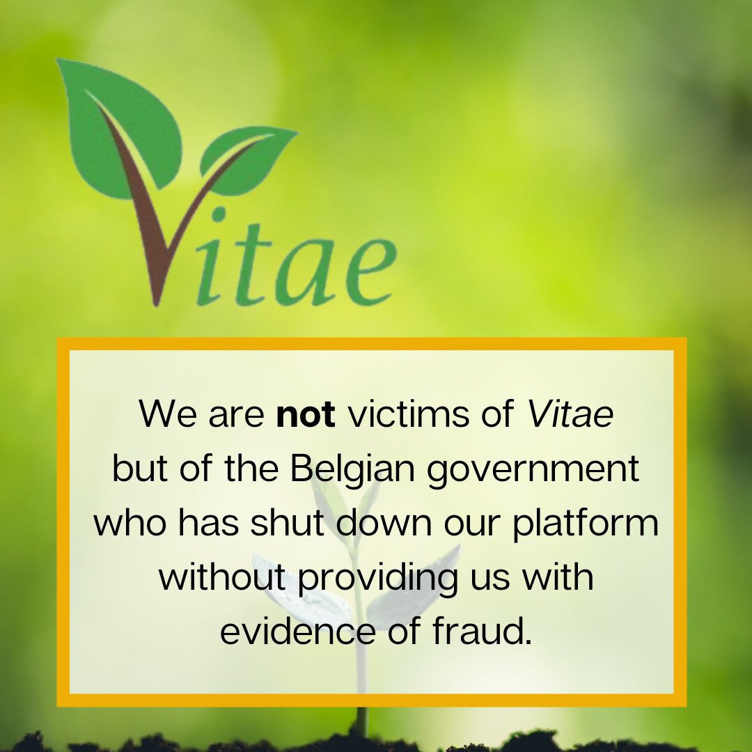 wearevitae.org tweet media
