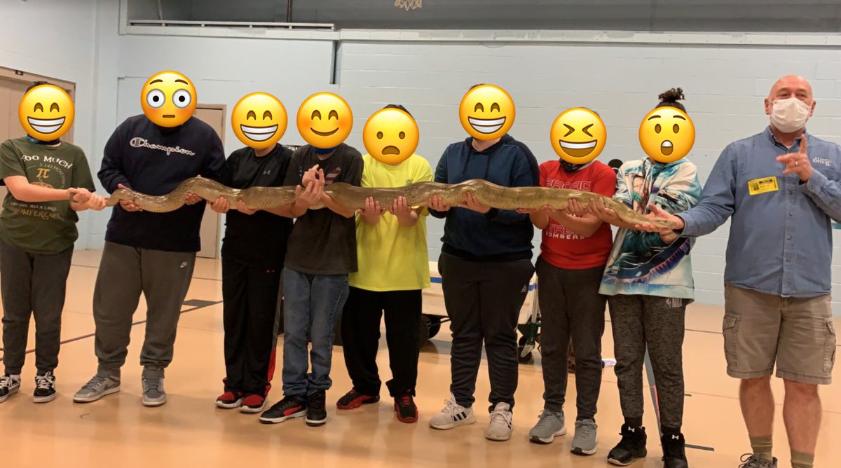 MissBoccella's tweet photo. We had a special guest come to school today... Reptile Man!! Students and teachers got to hold different creepy crawlies. Some were definitely more excited than others.🐍🕷🐊🐢 #ptreptilespa #reptileman https://t.co/XAZg3eTbYA