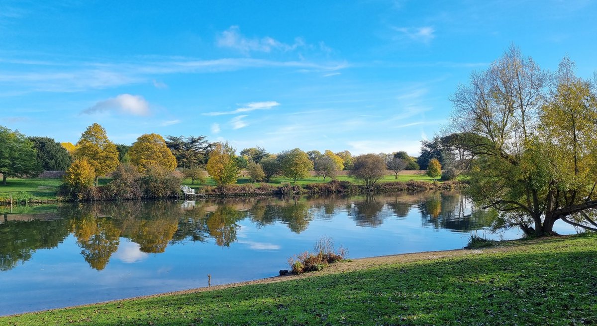MattD74's tweet image. Beautiful November morning along Albany Reach @AboutTD @SurreyPic