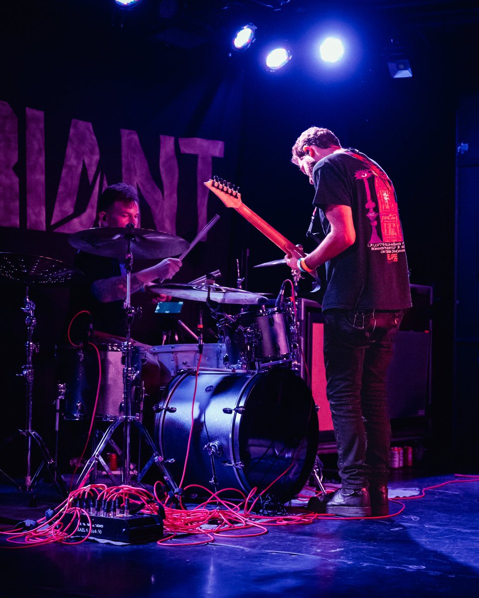 Sun & Flesh tweet media