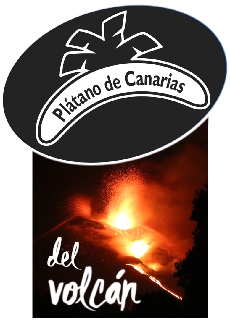 Consigue tu #etiqueta, hazte un #selfie y aporta tu granito de arena!!
#influencer #palmeros #volcanCumbreVieja <a href="/MVTARDE/">Más Vale Tarde</a> <a href="/cristina_pardo/">Cristina Pardo</a> <a href="/susannagriso/">Susanna Griso</a> <a href="/El_Hormiguero/">El Hormiguero</a> 💪💪