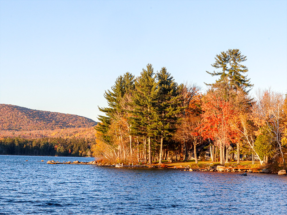 It's just the oaks and beeches hanging on now. Clearwater Lake in Industry, Maine. #clearwaterlake #industrymaine #outdoors #maine #newengland #mainefoliage #fallfoliage #photography 
#landscapephotography #westernmaine #fall #autumn #fallcolors #naturephotography #nature