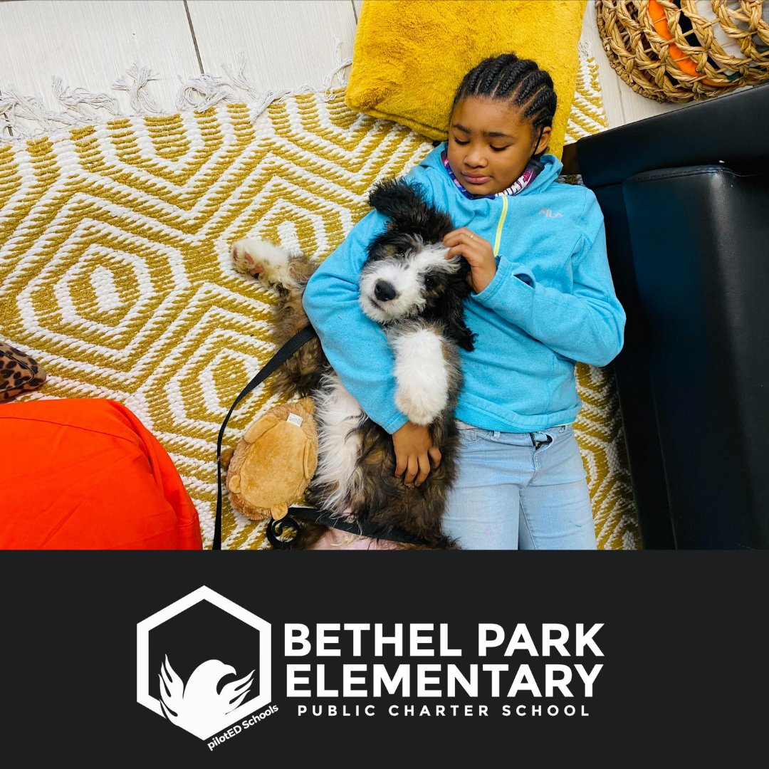 "The world needs who you were meant to be" Anonymous 
...Promoting an environment of comfort and security, our school is committed to help our students develop confidence to be their best. #Berniethebenenedude