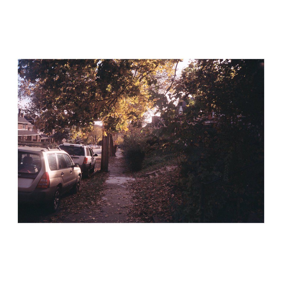 I recently started playing around with photography again. Here’s a shot I took. I plan to post daily on IG “ariecole.jpg”