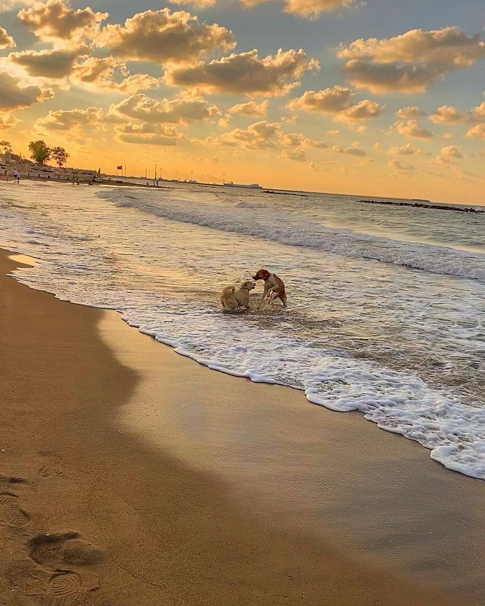burculker11's tweet photo. @kalpsizceset 🧡 https://t.co/S0HJoouucX