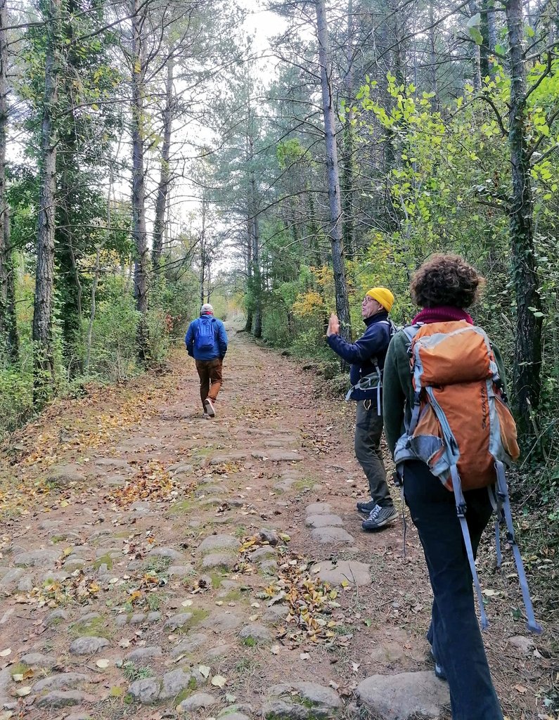 turismegarrotxa's tweet photo. 🔈Aquesta setmana, 6 experts en turisme i àrees protegides, són a la Garrotxa per testejar el 🌋"walking on the landacapes"👣, el paquet ecoturístic treballat des de @parcscat @trescalia i @turismegarrotxa en el marc del projecte europeu #destimed
@MedEcotourism #cets #ecoturisme https://t.co/PJtfIgINhO
