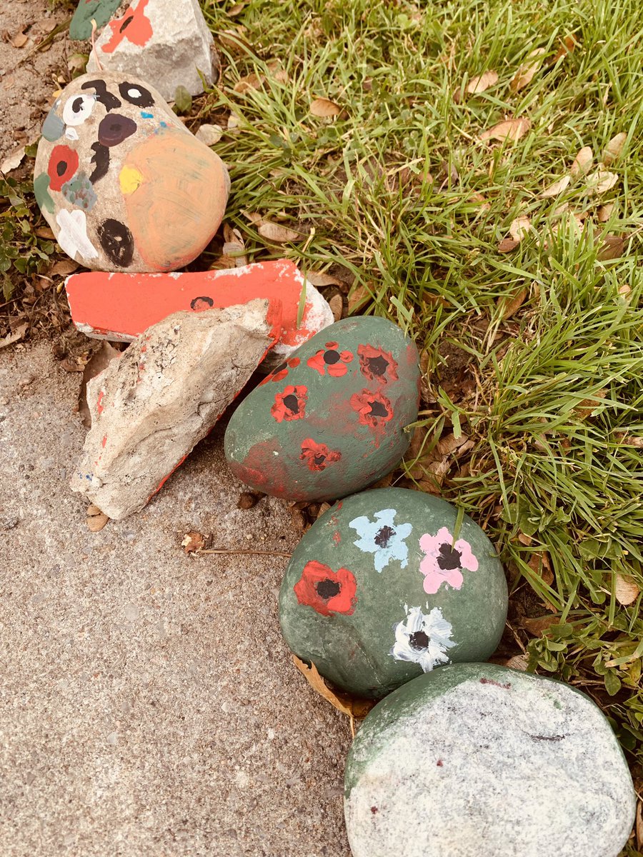 Students lined the walkway to <a href="/infoAlexandraPS/">Alexandra PS</a> with peace rocks today to honour Remembrance Day ♥️ #tldsblearns #lestweforget