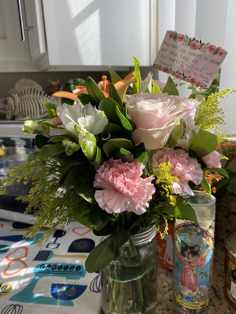 traytaymakeup's tweet photo. Thank you so much for the beautiful flowers and card ๐ @Chewy Butterfly would have loved to Rearrange these flowers if she could. Iโm pretty sure She was A florist in another life. ๐ โฅ๏ธ๐๐พ๐พ๐#RIPButterfly https://t.co/U6EjLNIgUU