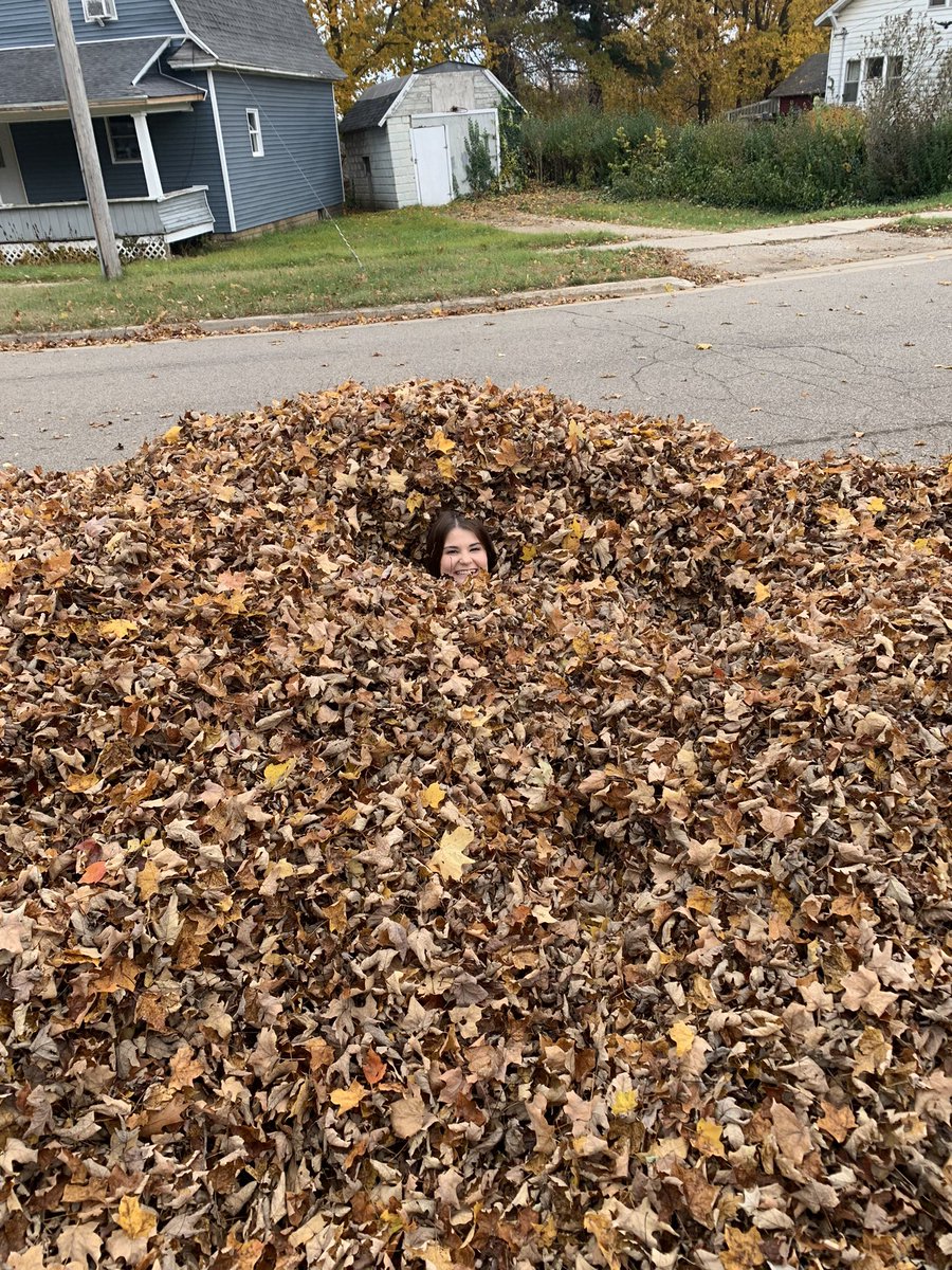 Paul Basel tweet media