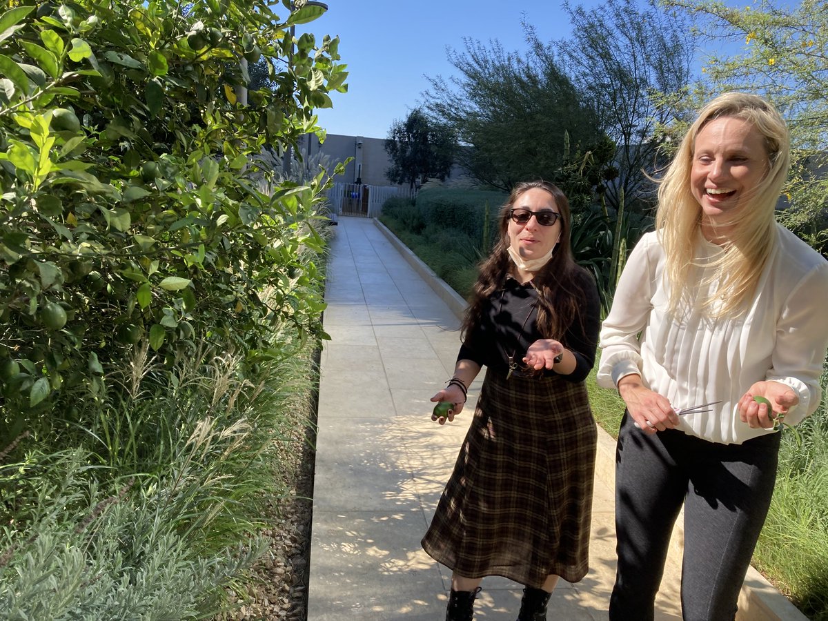 Orbillion1's tweet photo. 📸BTS pic of Nur and Laura on a casual stroll picking herbs around the Orbillion kitchen. One of our test kitchen spaces is right in downtown LA, in the middle of a rooftop garden. Stun.ning.🙌Follow along for more updates from our test kitchen! 

#craftmeat #testkitchen https://t.co/g1wOcXHV8z