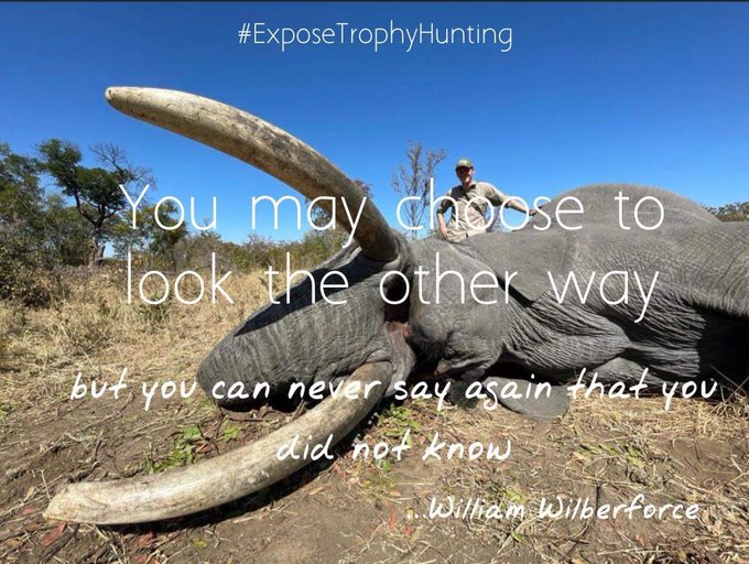 JamesMc89631483's tweet image. #ExposeTrophyHunting   You may choose to look the other way...