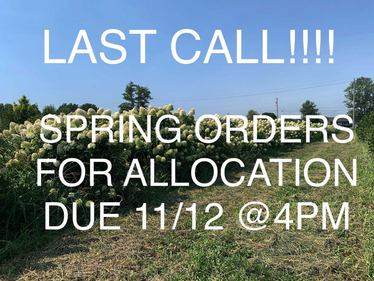 The deadline for Spring 2022 orders to go through the allocation process is:
 Friday, November 12th at 4 pm 
All orders received after the deadline will be date and time stamped and entered in the order they are received.