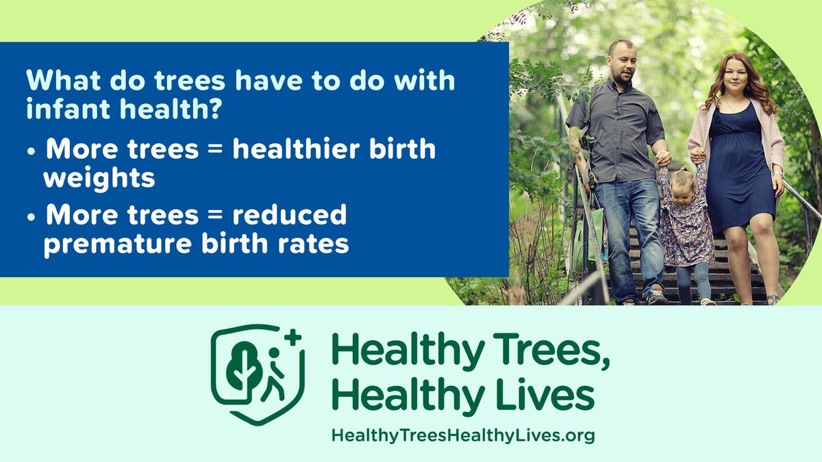 For healthy birthweights, increase tree canopy in neighborhoods with the lowest tree cover.

#TreesCare #HealthyTreesHealthyLives
healthytreeshealthylives.org