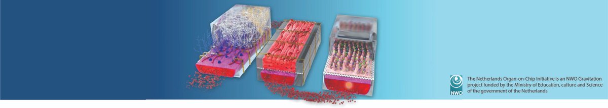 nociorganonchip's tweet photo. The word is out! 
We've received a Positive Evaluation of the NOCI Program, meaning funding for NOCI will be continued for a second term of 5 years!

https://t.co/0GhdRMHwsU https://t.co/MqdfOohEzc