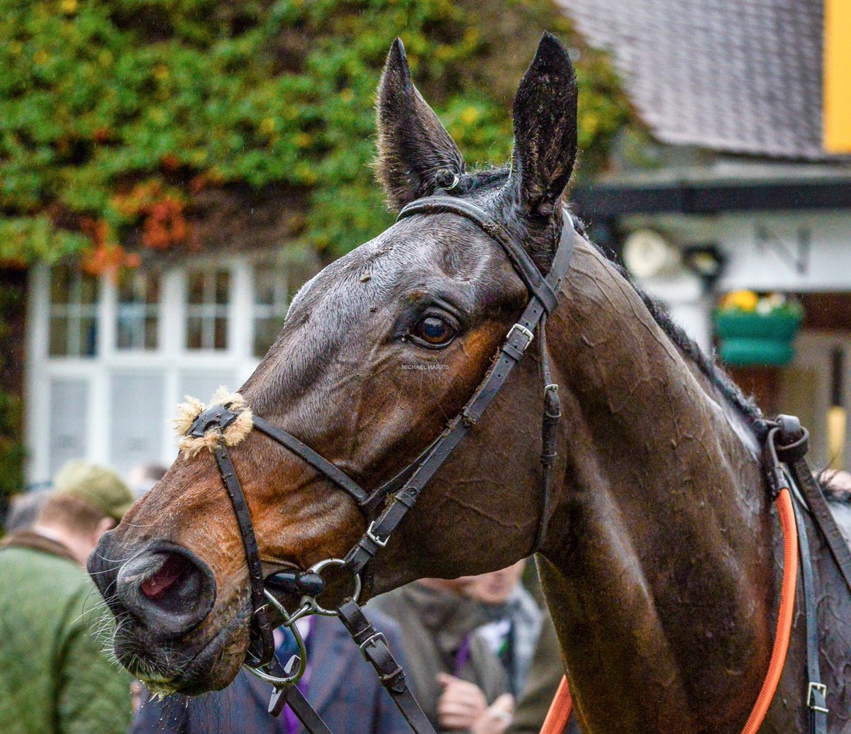 “Nothing need be said when you have eyes.”

LALOR