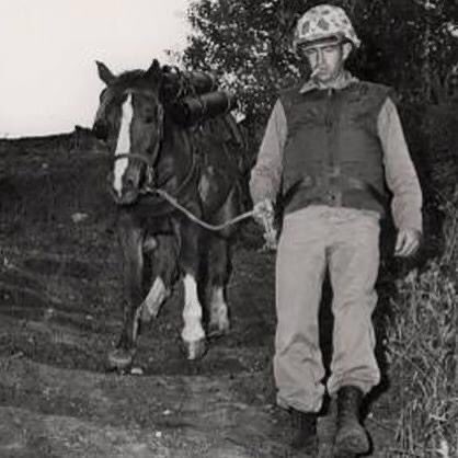 Korean race hopeful turned war hero, Sergeant Reckless — one of her 4 foals rumored to have been a bucking horse. Story on FB &amp; INSTAGRAM.