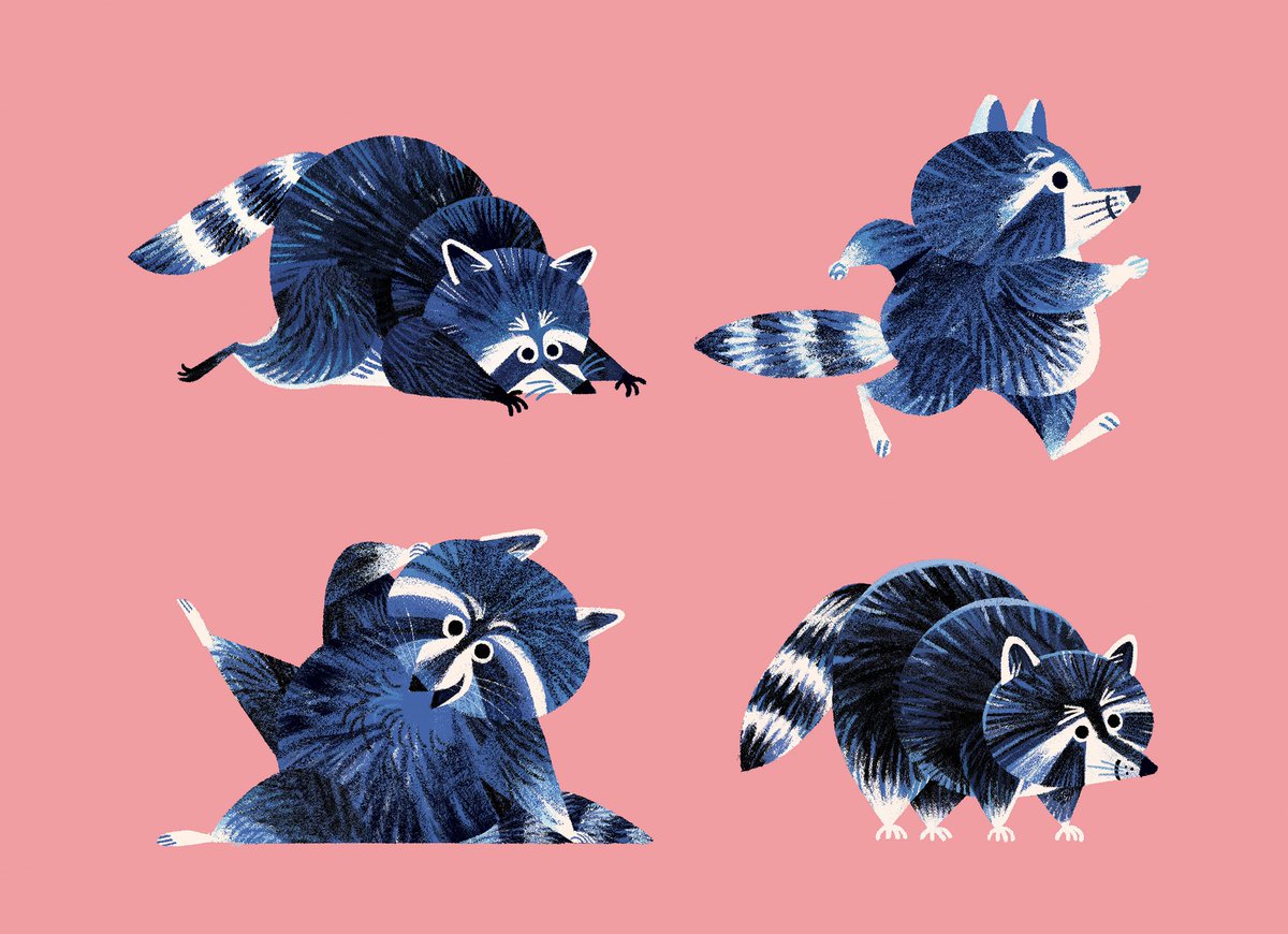 Kimdraws's tweet photo. A handful of raccoons! https://t.co/86E2PkJXg1