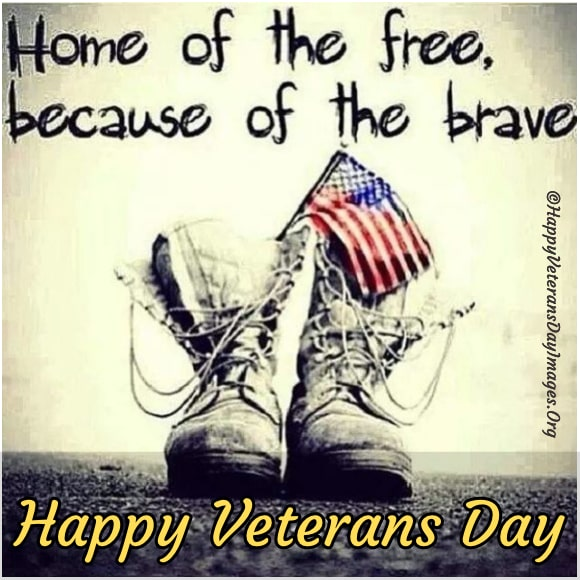 NASW_IN's tweet photo. We honor all humans and animals who served in our military, Veterans Day 2021, and every day.  Thank you for your courage and commitment! https://t.co/RauMPXIYWu