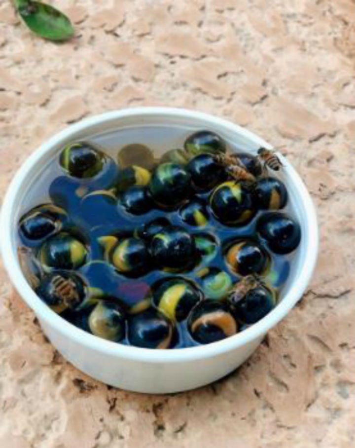 CcLaudia 🐝_🎤Cc🎨 PFonc tweet media