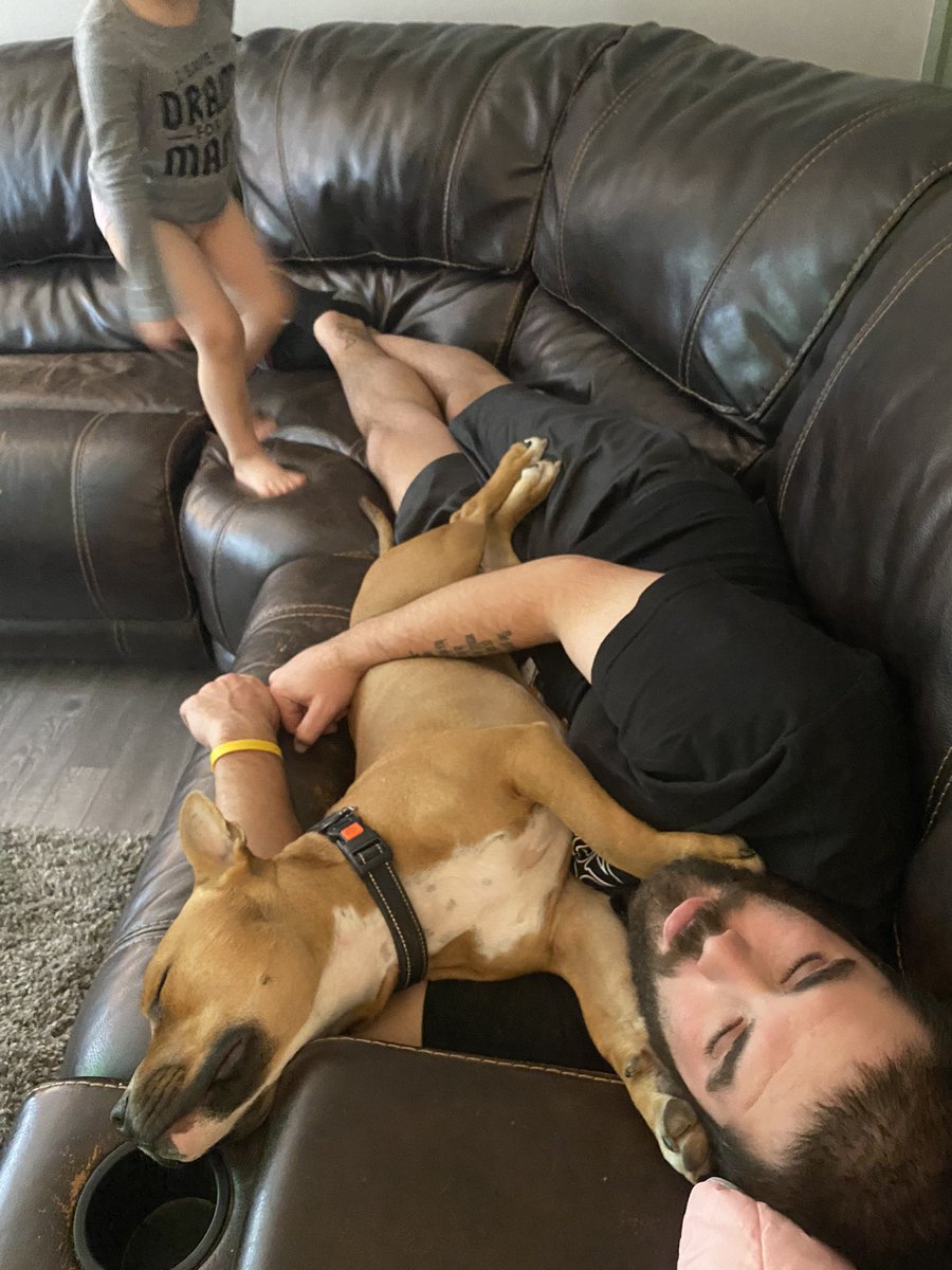 About92phatkids's tweet photo. Sometimes Rocco gets needy. I never complain! #pitbulls #pitdad #pittiefam https://t.co/BHSPg8cfiN