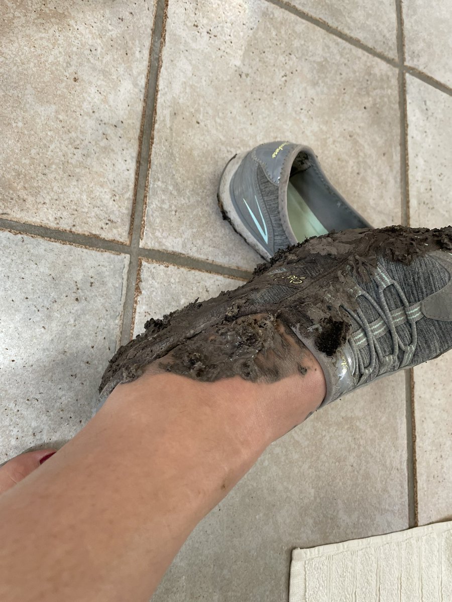 DrD_SocialWork's tweet image. I may or may not have been installing my fence at home alone against my partners advice. I may or may not have fallen off a ladder. I definitely did not break my ankle!! Let’s be honest if you know me it’s shocking I’m 40 and this is one of my worst injuries #Win?? Only #Sprained