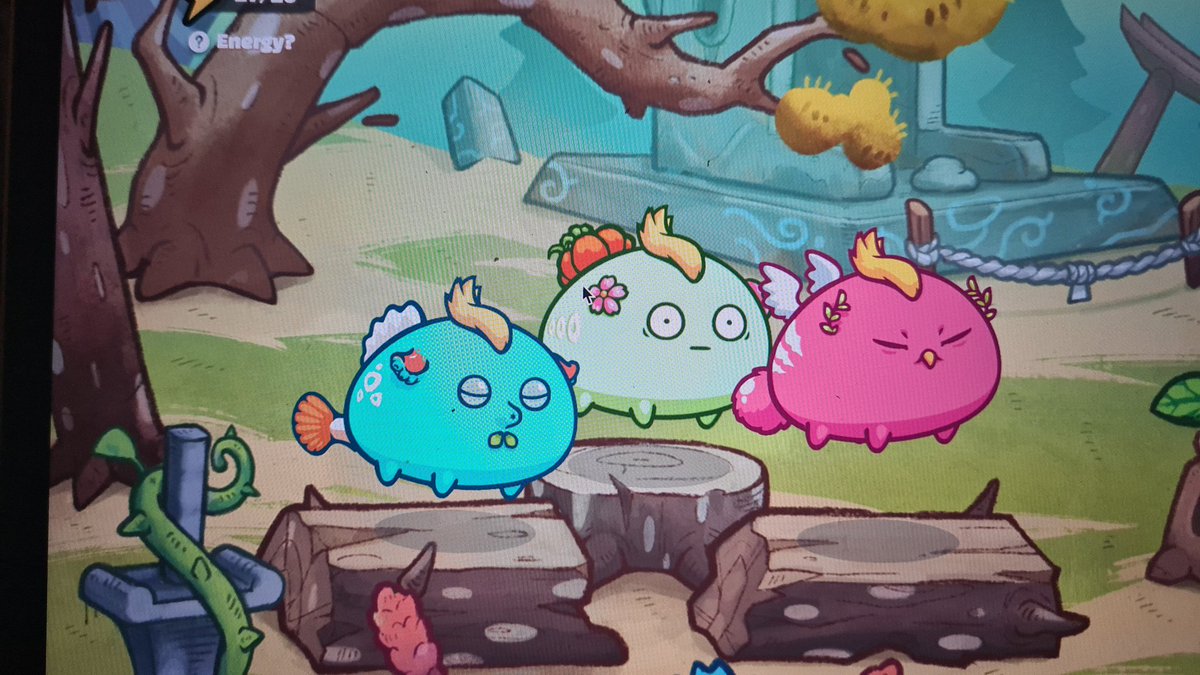 BrunoTHaga's tweet photo. What so you think about this team?
Interesting? Hotbut is the plant's tail. #AxieInfinity #AxieinfinityScholarship #Trump https://t.co/vflriTPkcW