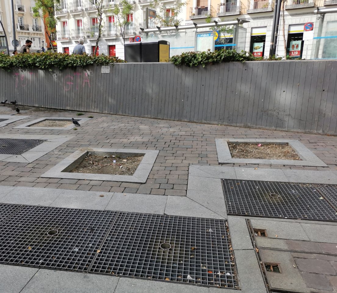 RamonLopez_G's tweet photo. Almeida plantando un abeto de 18 metros /// Los alcorques de mi plaza. https://t.co/FyguxcNnhW