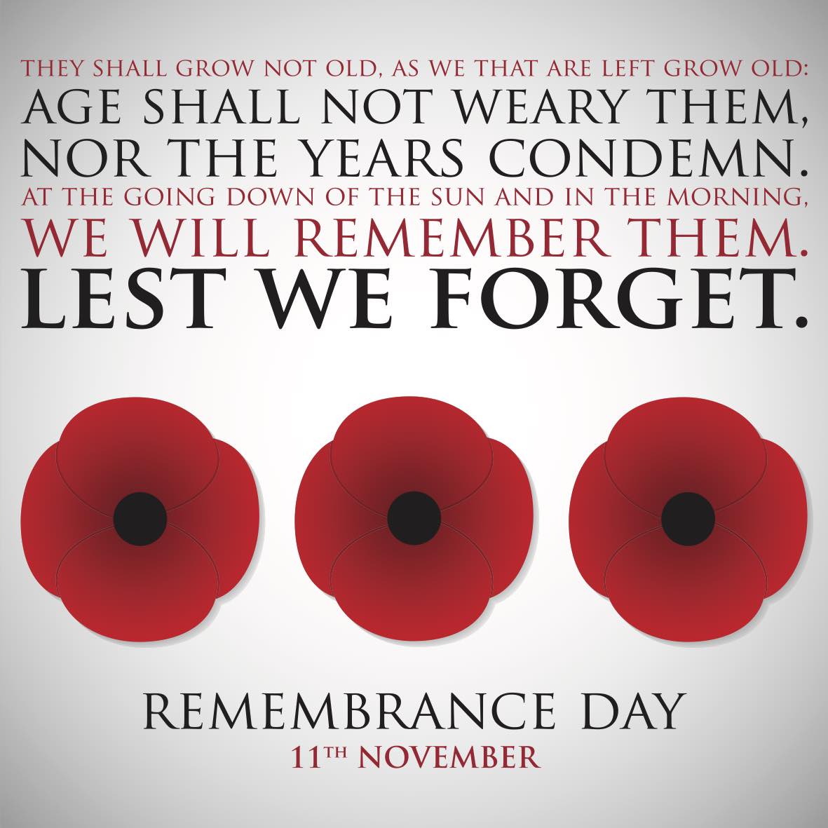 #RemembranceDay  #LestWeForget