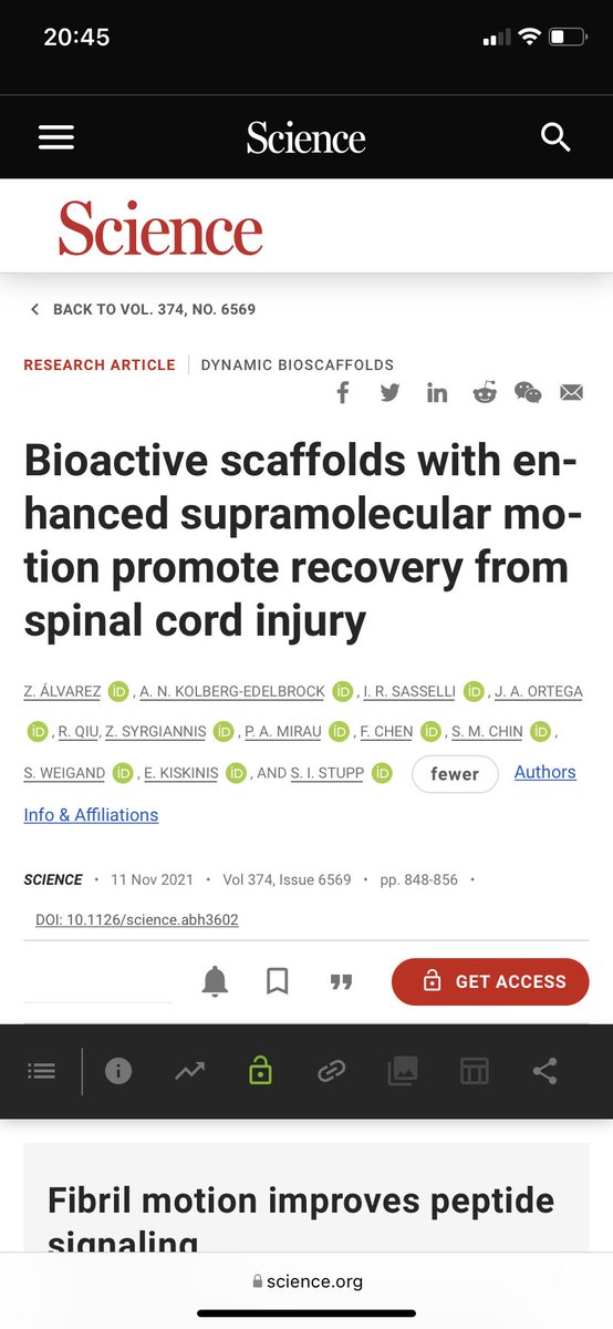Bioactive scaffolds with enhanced motion promote recovery from spinal cord injury.