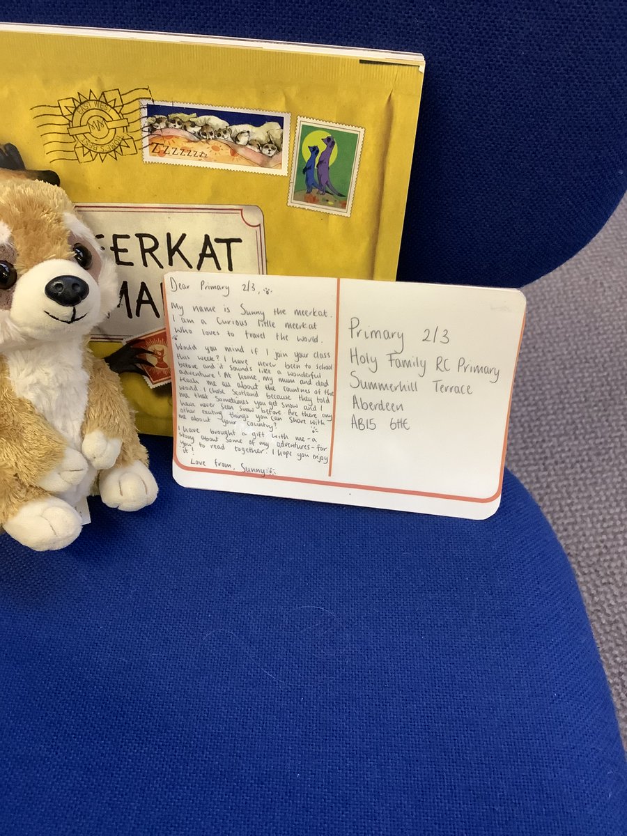 MissKNapier's tweet photo. We welcomed a special guest to our classroom this week. Sunny the Meerkat was on the hunt for a new adventure and Primary 2/3 did not disappoint! We can't wait to send postcards back to Sunny's mum and dad to let them know what he has been up to during his time at Holy Family. https://t.co/biyGGBxjGD