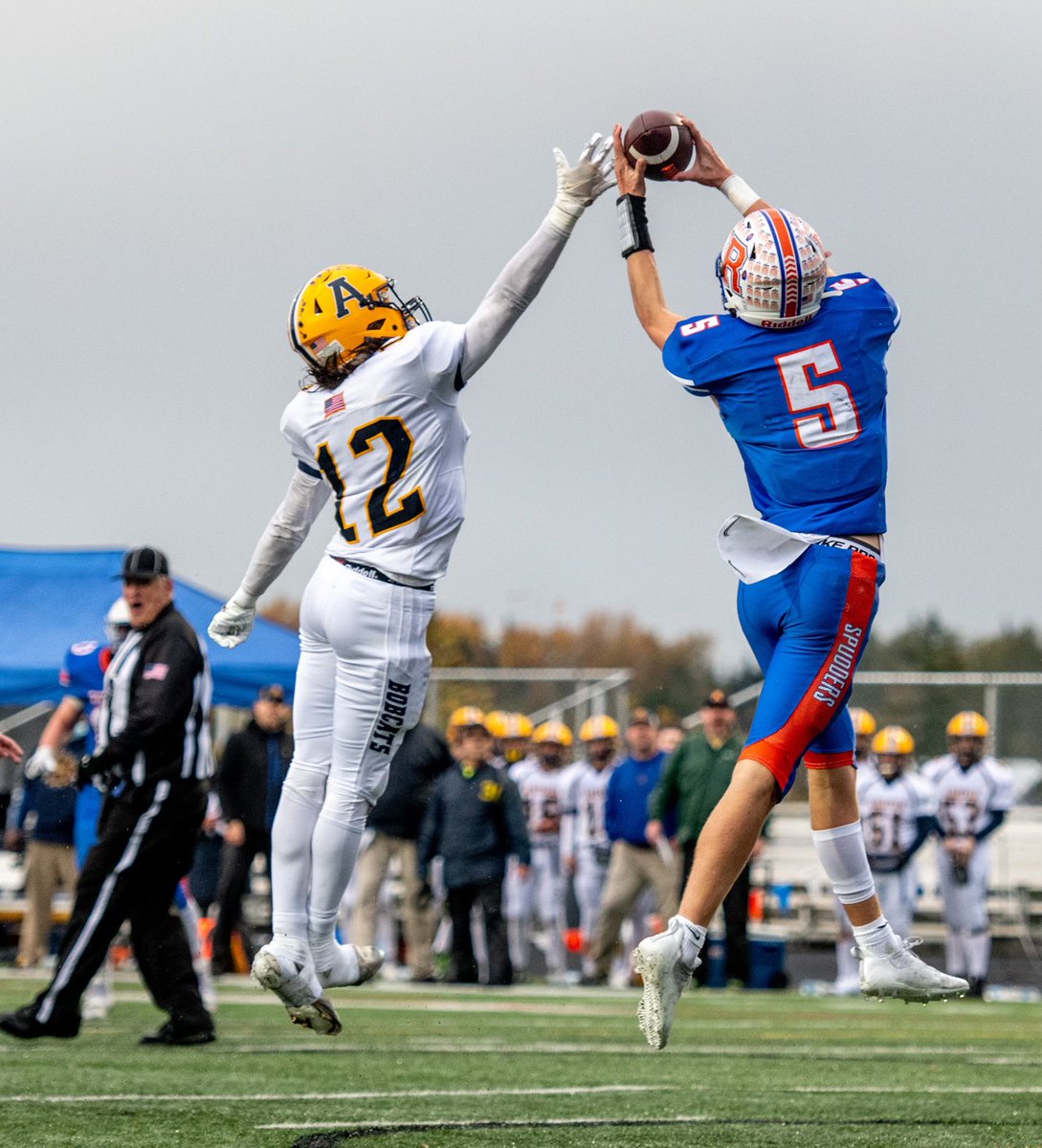 Bryan Levesque tweet media